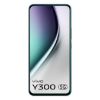 Picture of Vivo Y300 5G (Emerald Green, 8GB RAM, 128GB Storage)