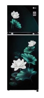 Picture of LG 246 L 3 Star Smart Inverter Frost-Free Double Door Refrigerator (GL-S262SELX, Emerald Lotus, Convertible)